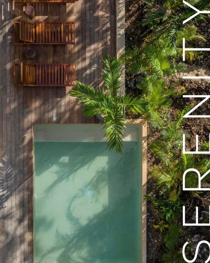 Villa Xuncari En El Corazon De La Selva 图卢姆 外观 照片