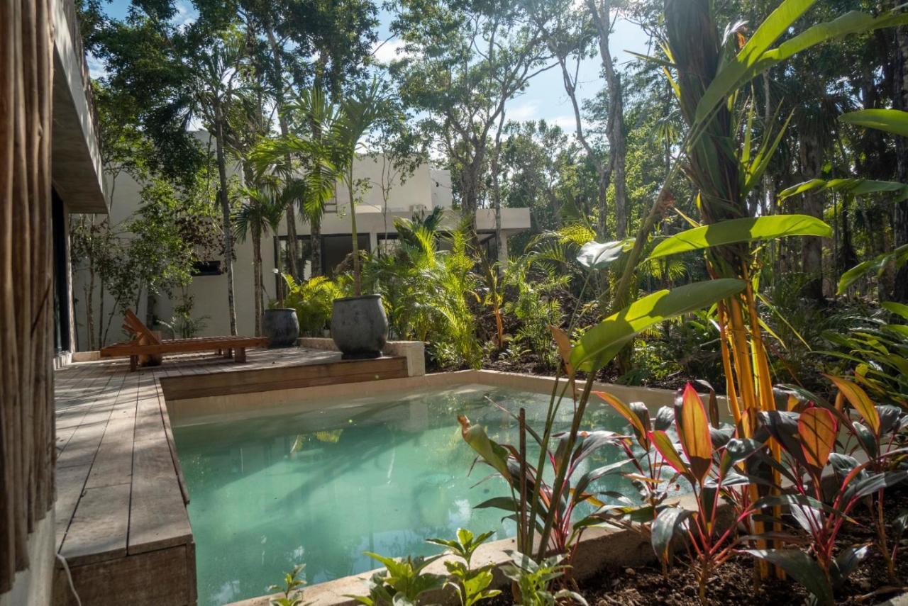 Villa Xuncari En El Corazon De La Selva 图卢姆 外观 照片